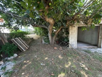 Jardin arrière avec un figuier mature et un garage annexe inachevé en blocs de béton, présentant le potentiel de rénovation de cet espace extérieur.