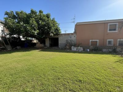Vaste jardin privé avec pelouse verte luxuriante, un grand arbre feuillu et une annexe en blocs inachevée, jouxtant la façade principale couleur pêche.