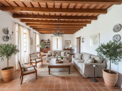 Vaste salon avec poutres en bois apparentes et bovedillas en terre cuite, carrelage rustique au sol et lumière naturelle abondante. Aménagé avec mobilier traditionnel et oliviers en pot.
