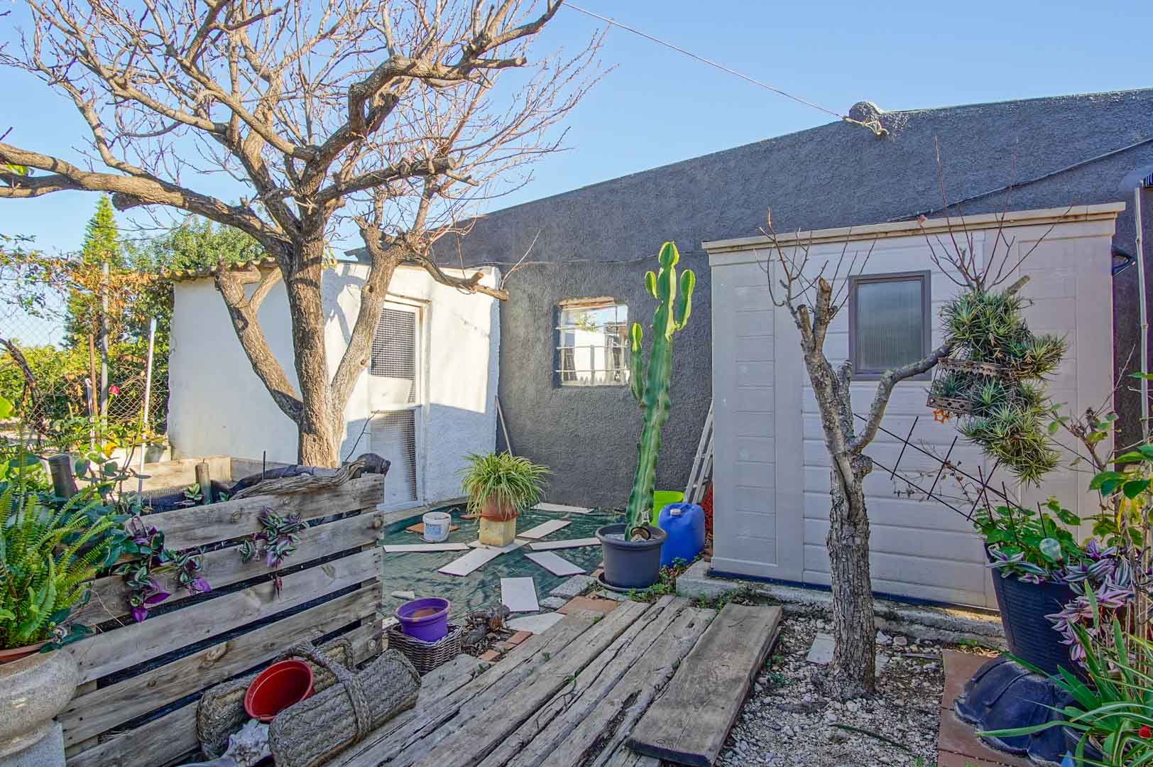 Patio extérieur et jardin
