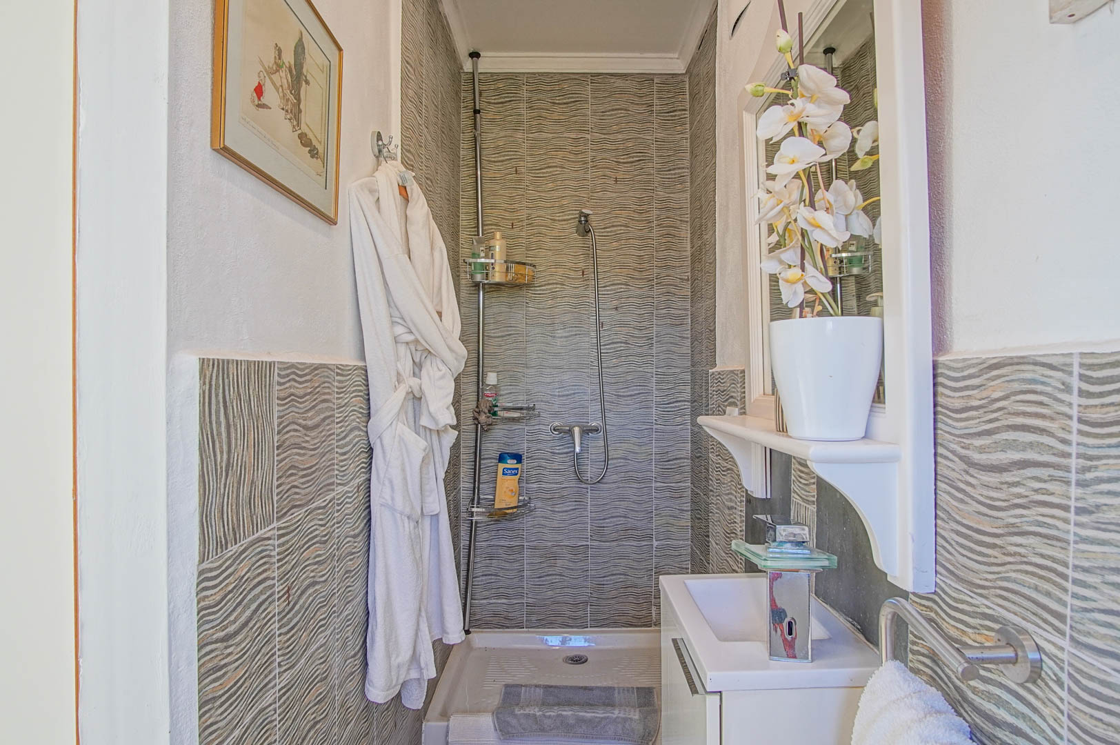 Salle de bains avec douche