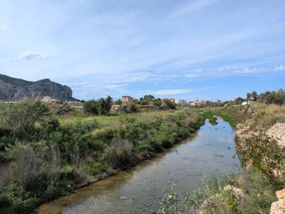 Environnement naturel avec rivière