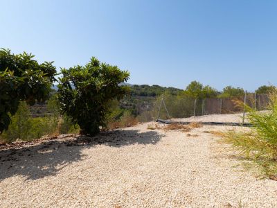 Jardin avec vue sur la montagne