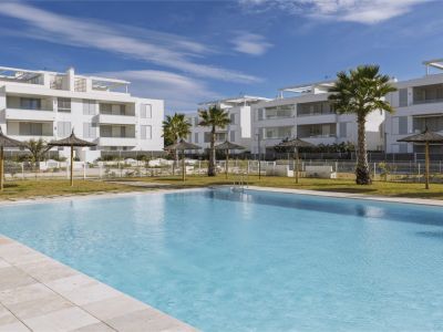 Piscine communautaire et jardins