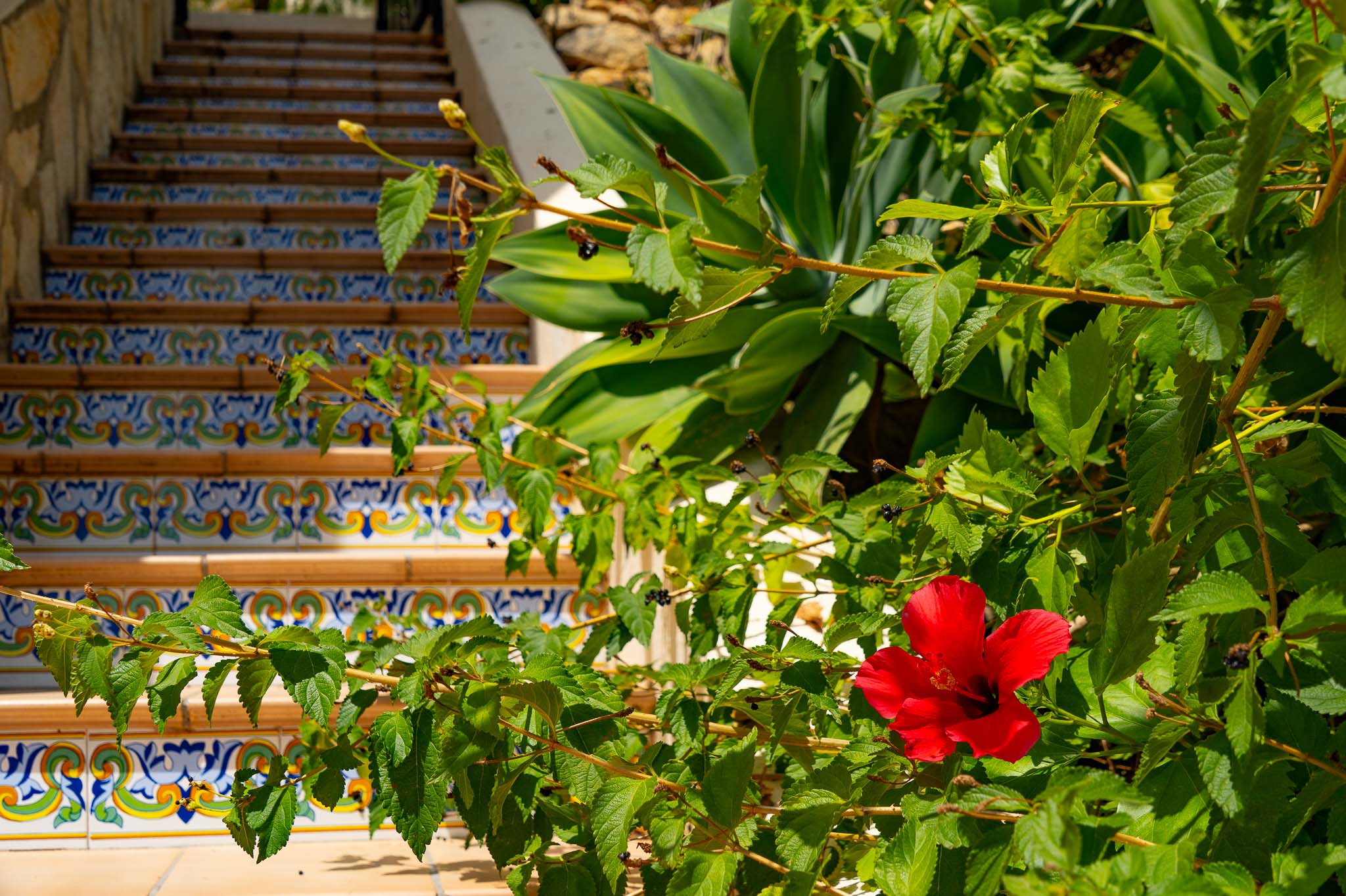 Escalier extérieur du jardin