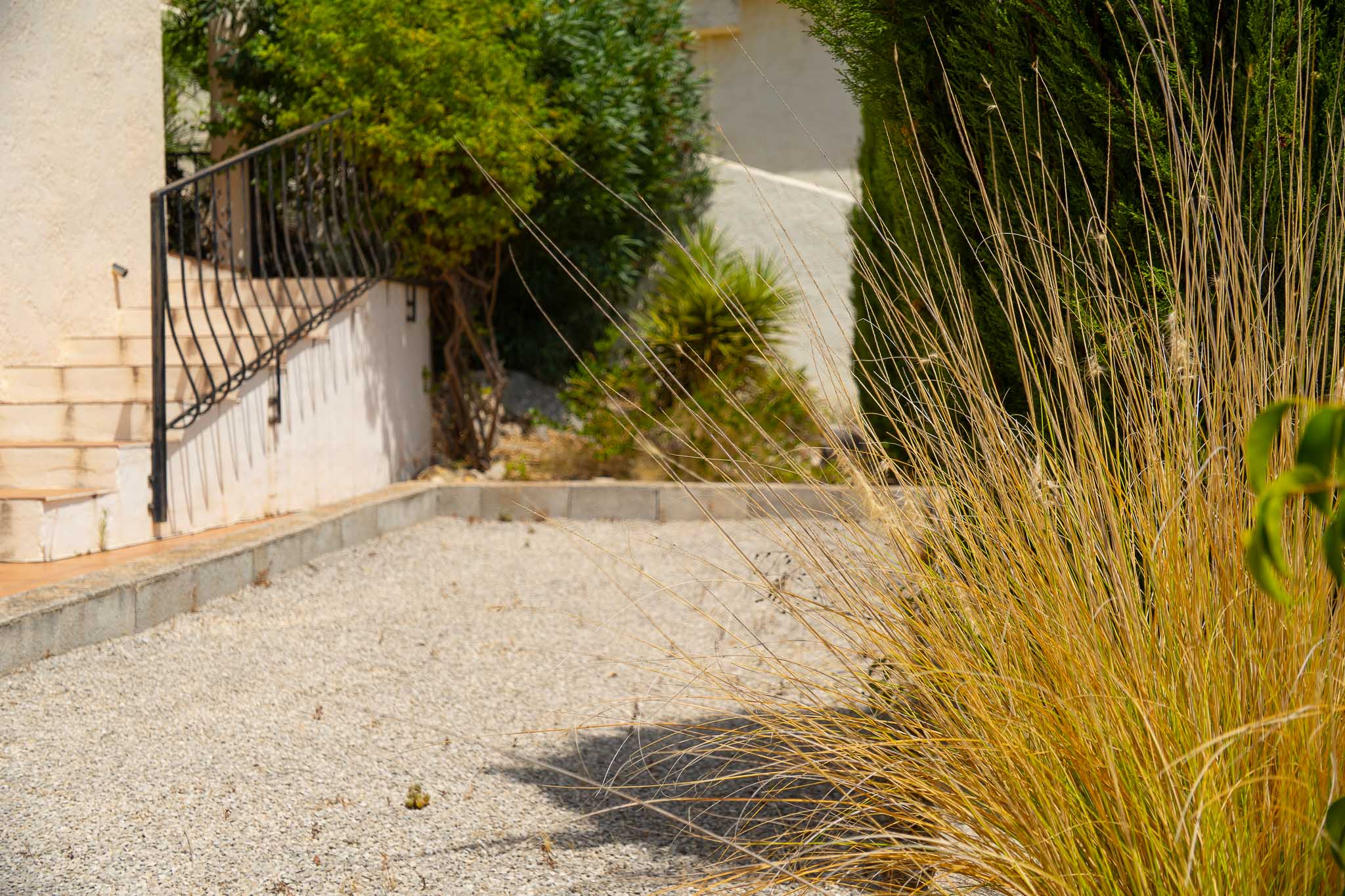 Terrain de pétanque et jardin