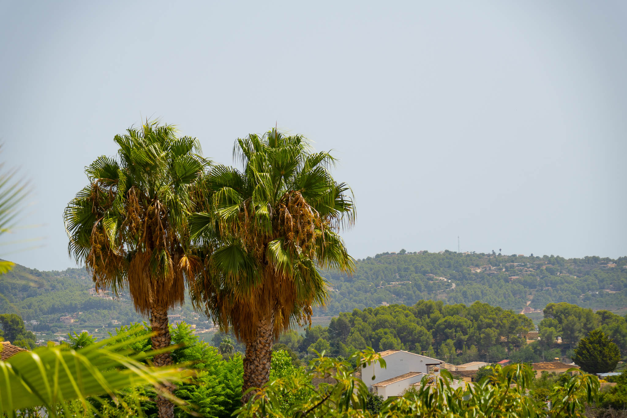 Vue sur la vallée et montagnes