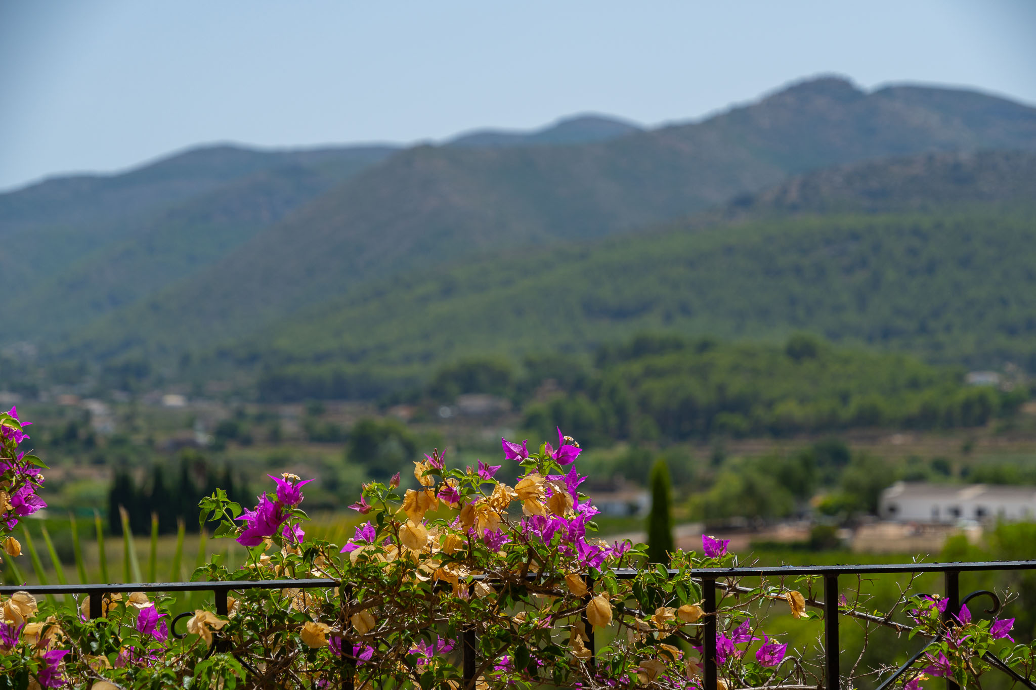 Vues sur la vallée et les montagnes