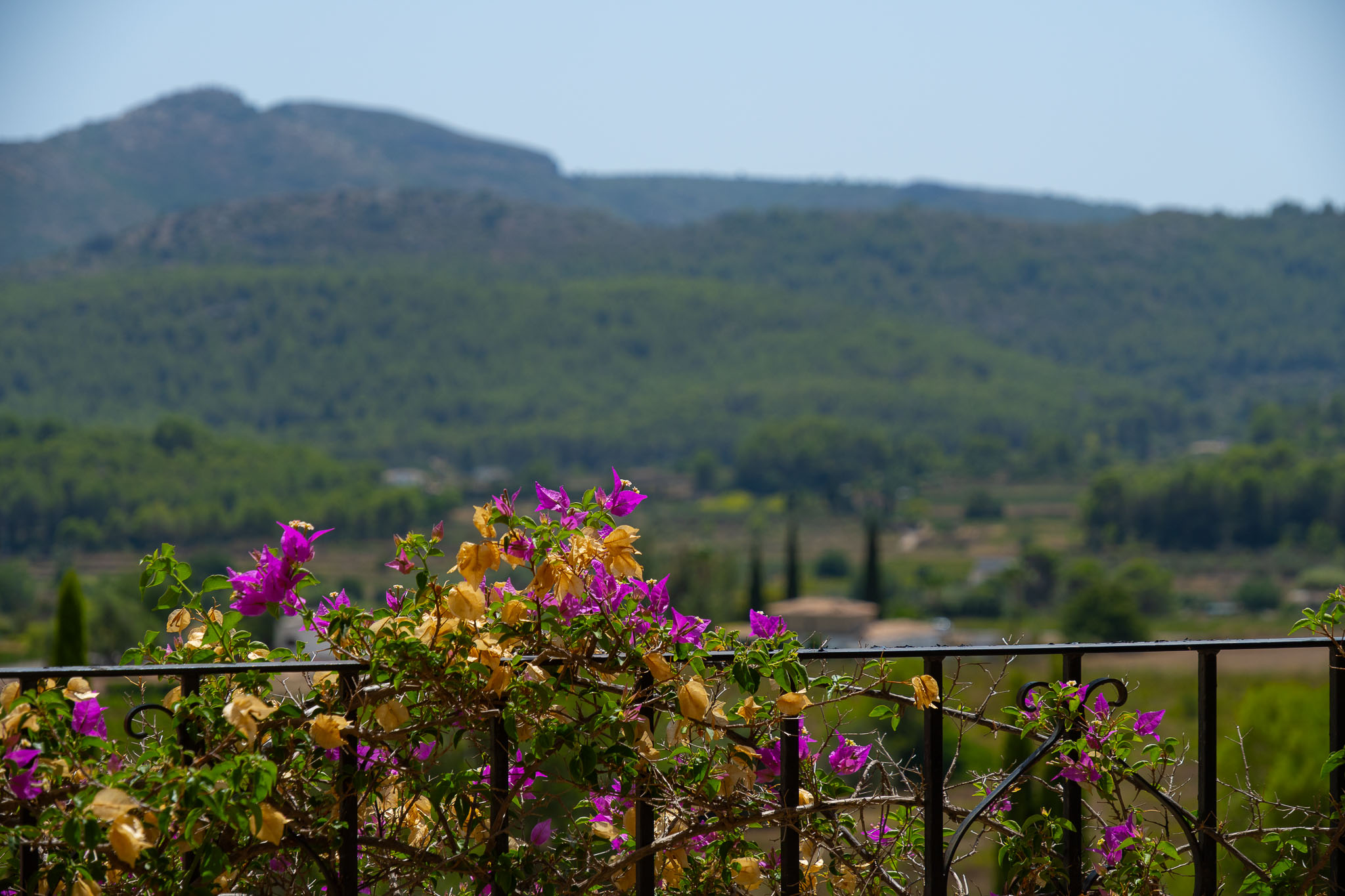 Vue sur la montagne depuis la terrasse
