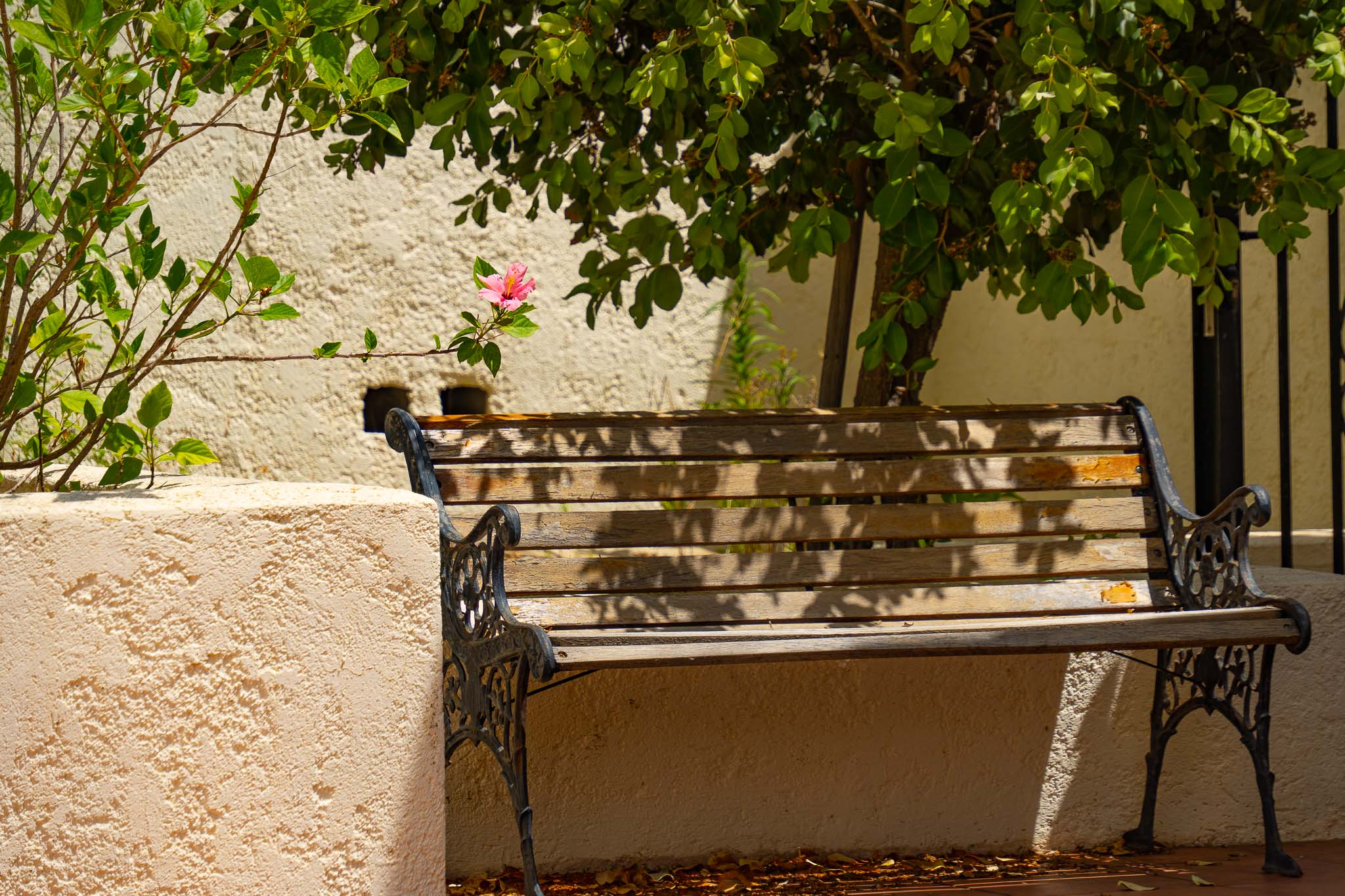 Coin jardin