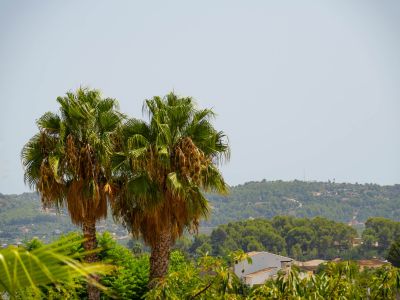 Vue sur la vallée et montagnes