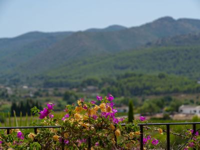 Vues sur la vallée et les montagnes
