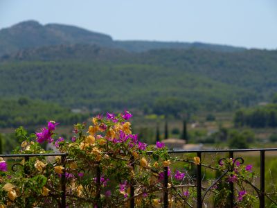 Vue sur la montagne depuis la terrasse