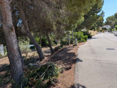 Accès à la parcelle