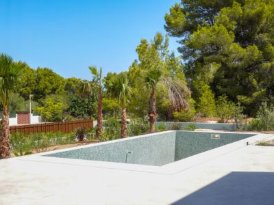 Piscine et jardin