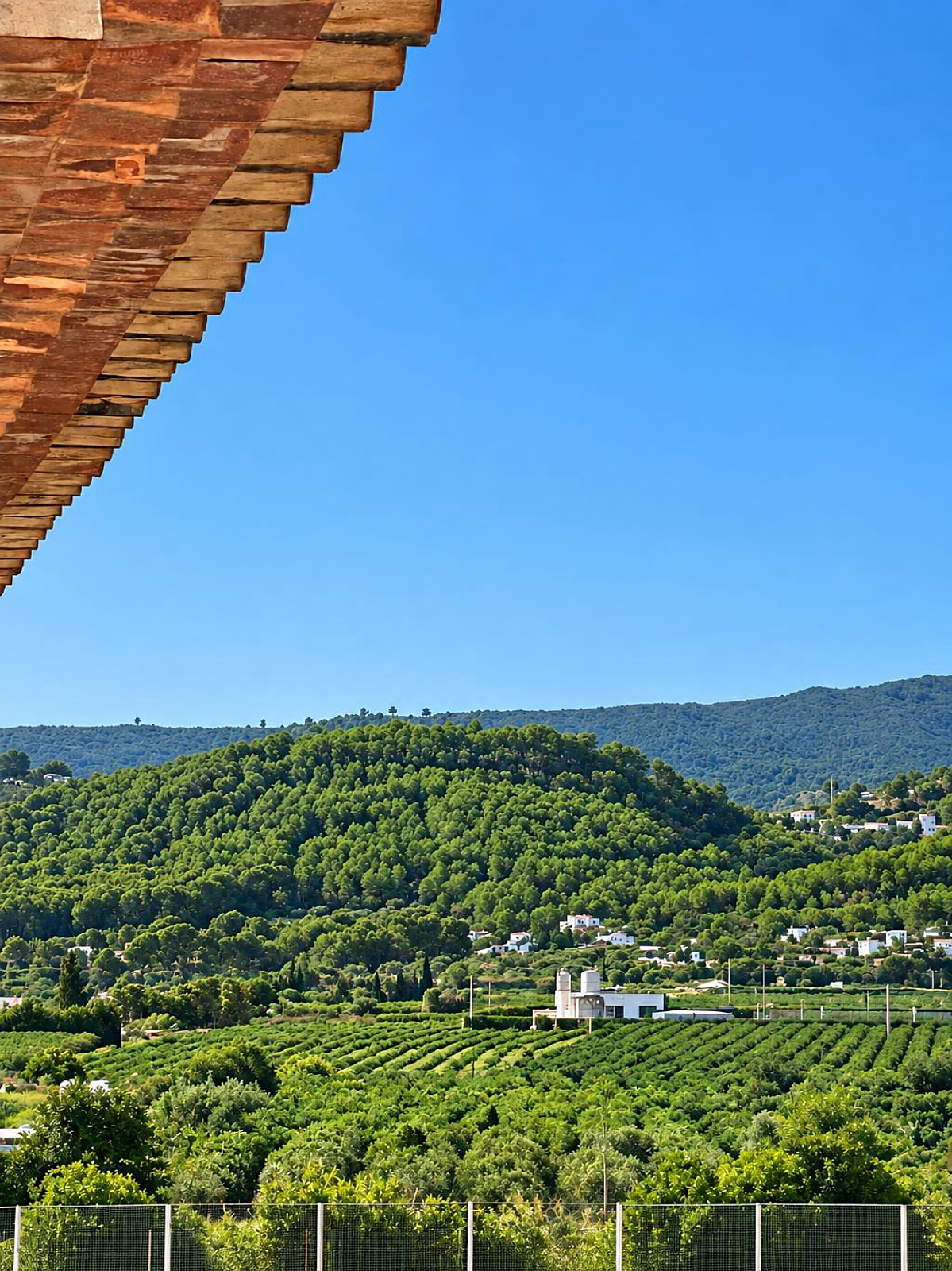 Vue sur les montagnes
