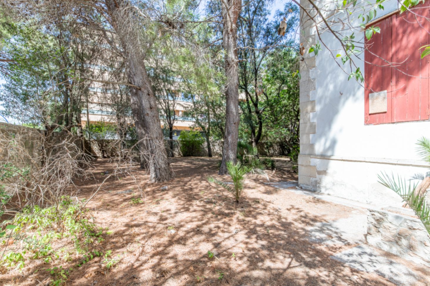 Jardin arboré de la propriété