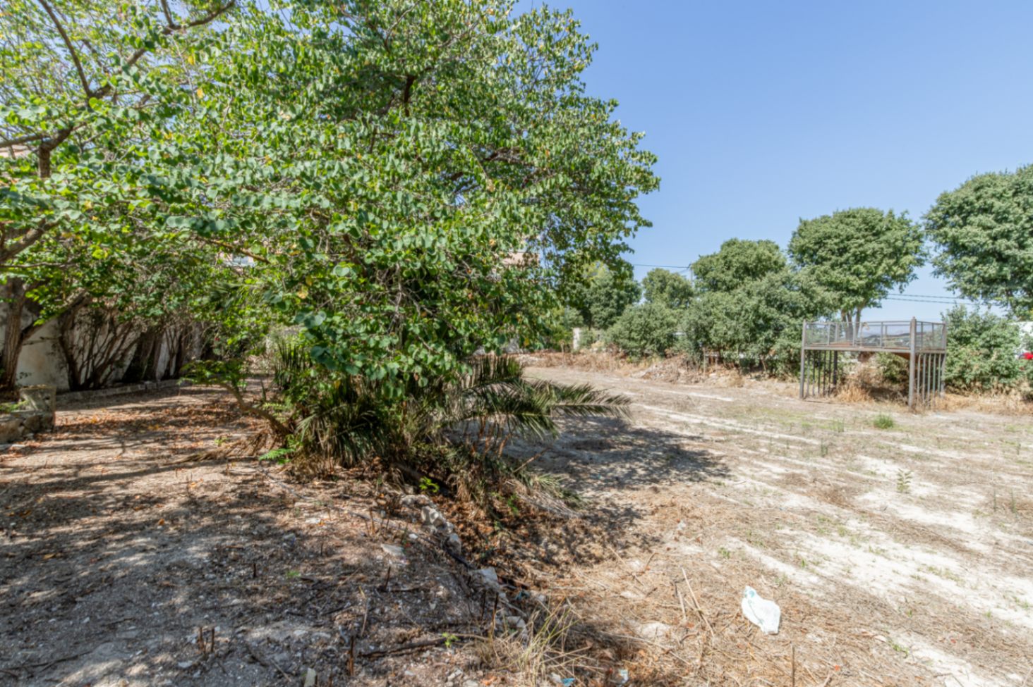 Terrain et jardin extérieur