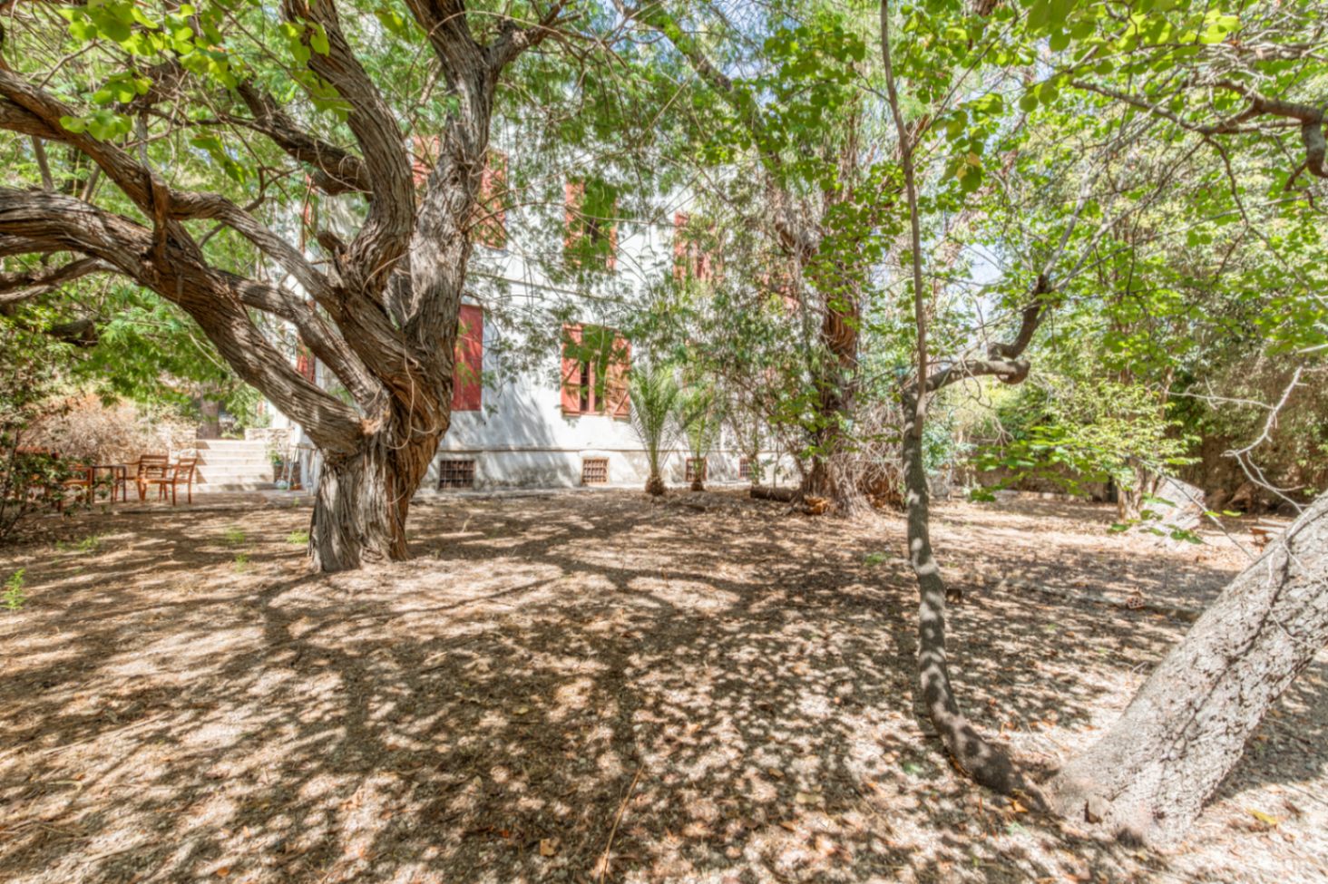 Jardin arboré de la propriété