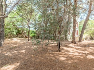 Jardin arboré