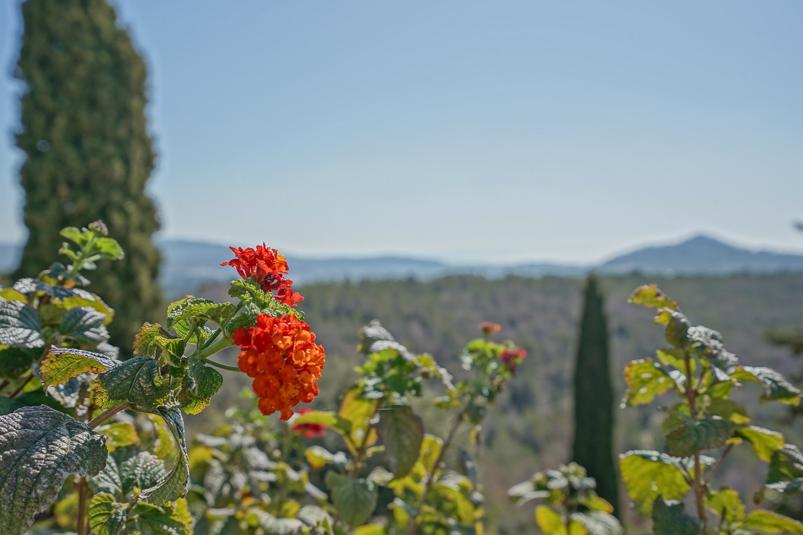 Jardin et vue dégagée