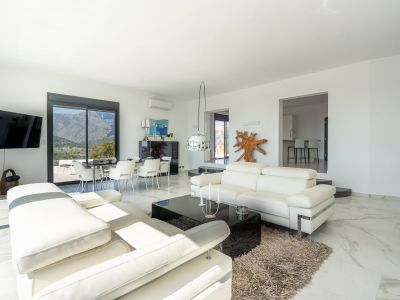 Salon-salle à manger avec vue montagne