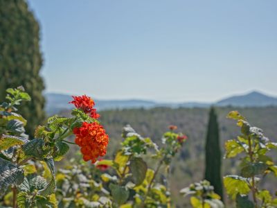Jardin et vue dégagée
