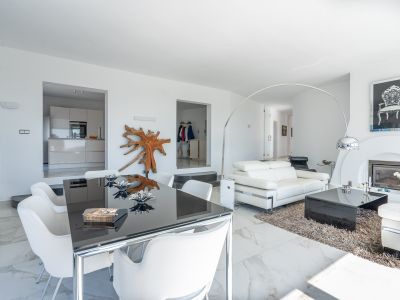 Salon et salle à manger avec cheminée