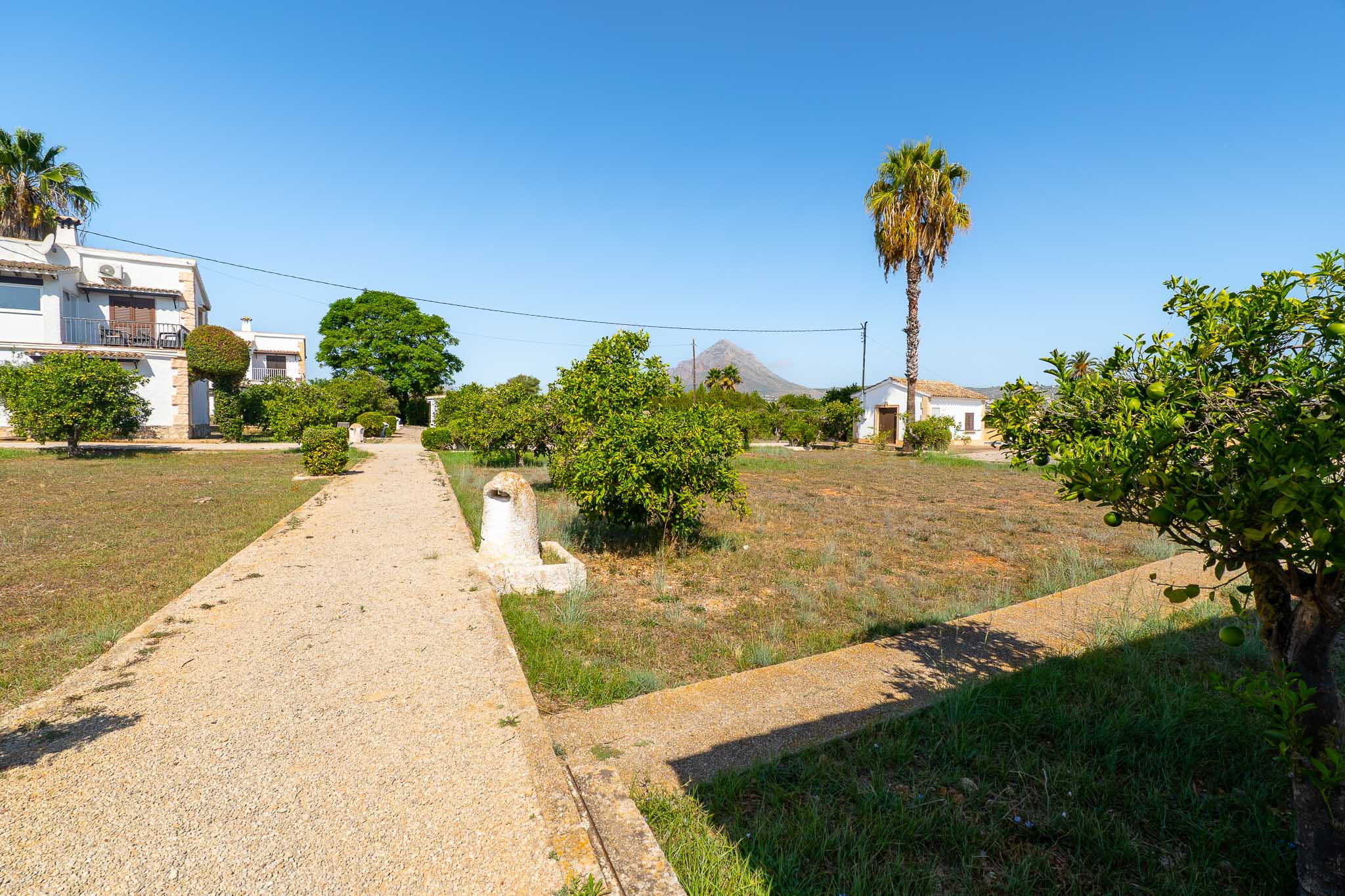 Jardin communautaire avec vue sur la montagne
