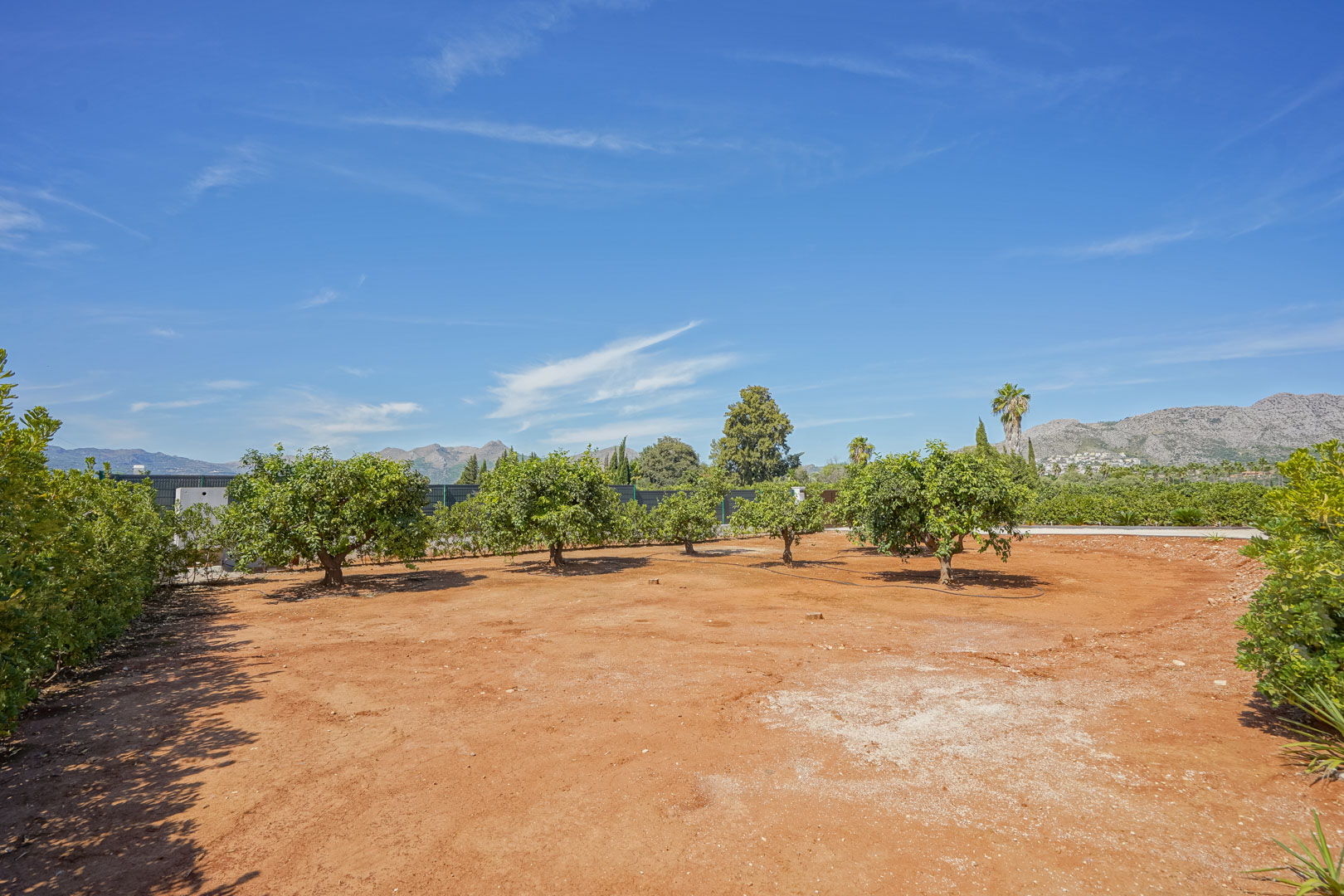 Terrain avec arbres fruitiers