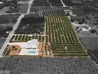 Vue aérienne de la propriété
