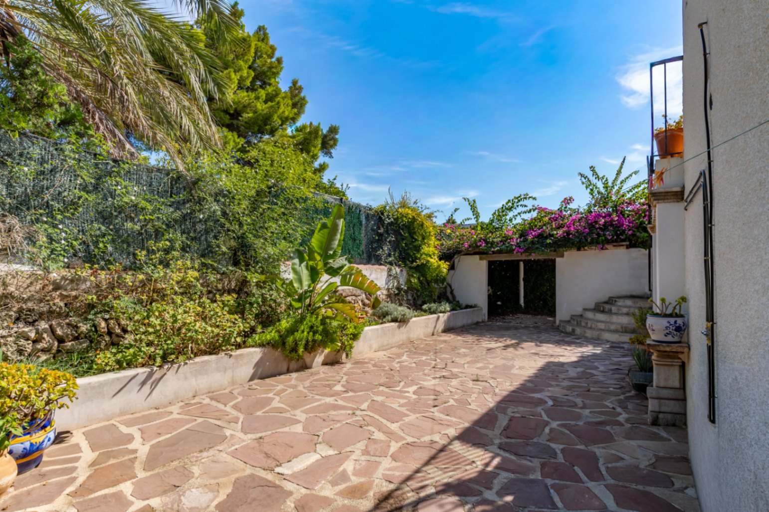 Patio extérieur et jardin