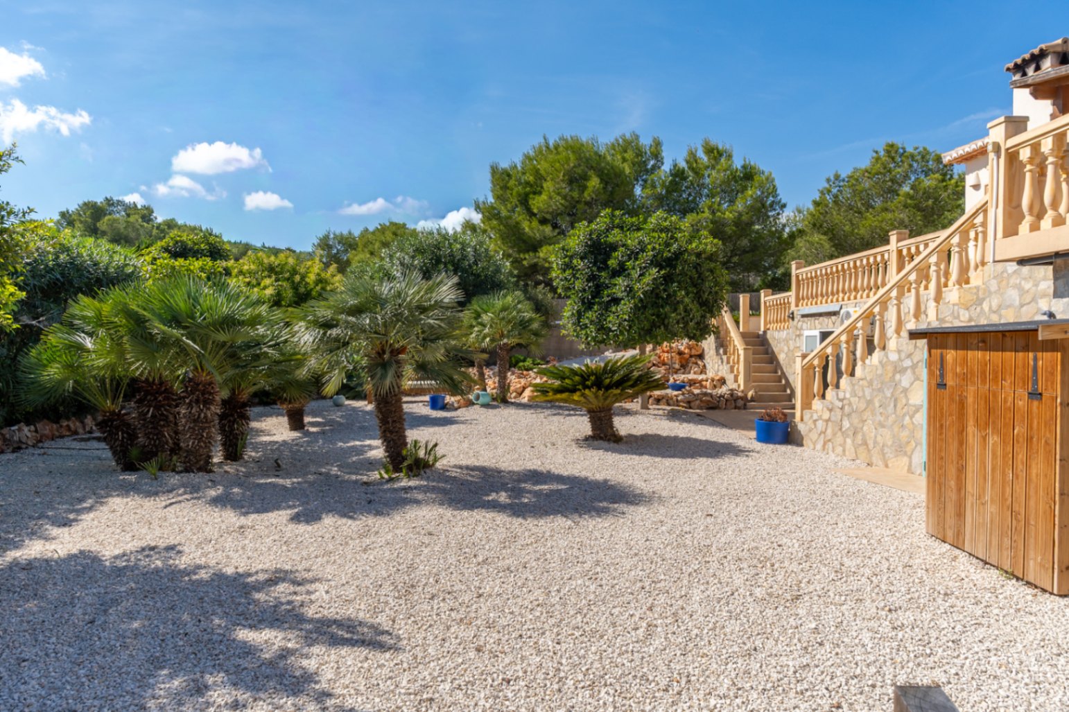 Jardin méditerranéen avec palmiers