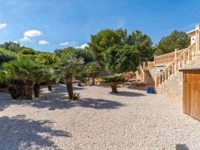 Jardin méditerranéen avec palmiers
