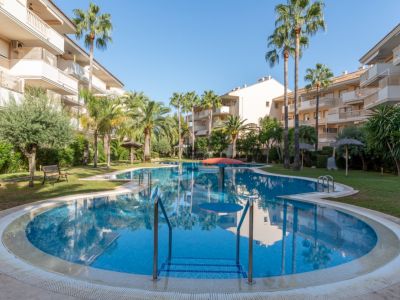 Piscine communautaire et jardins