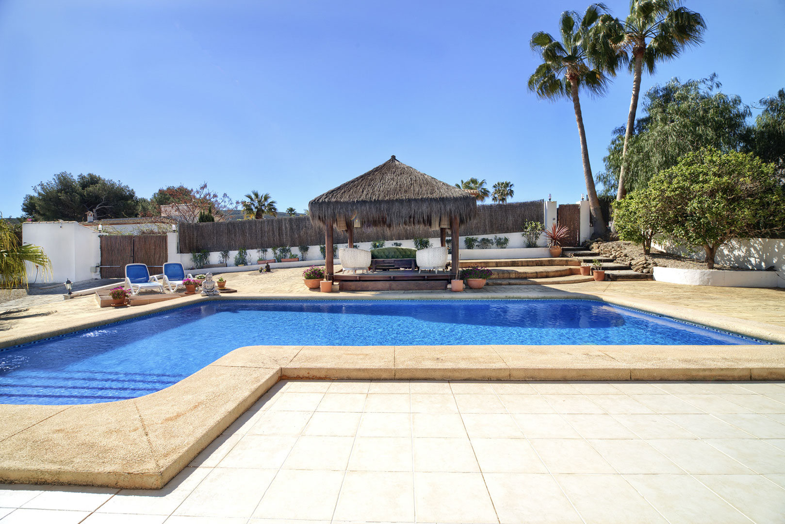 Piscine et pergola