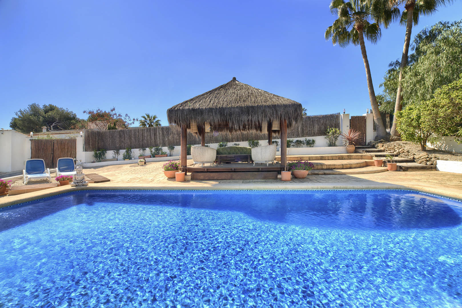 Piscine et pergola