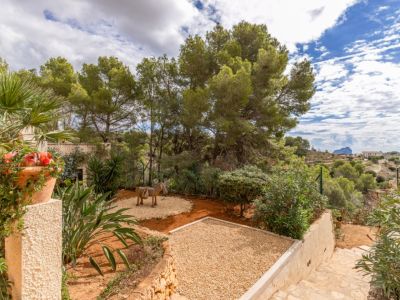 Jardin avec vue