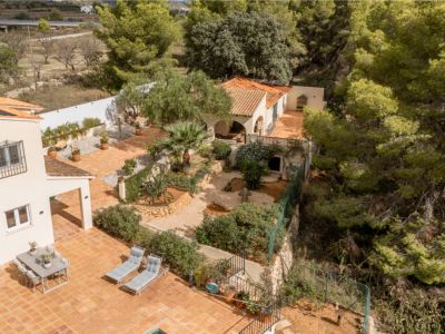Jardin et maison d'invités