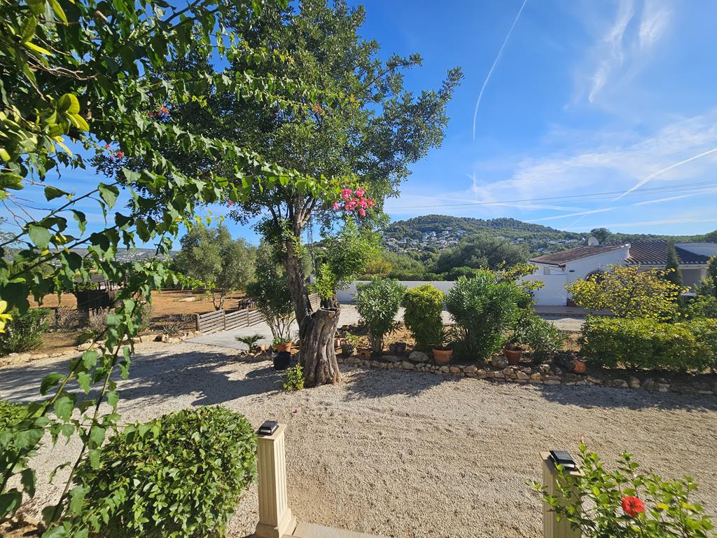 Jardin avec vue sur la montagne
