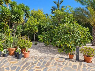 VILLA INDIGO | Exclusivité AyO Inmobiliaria