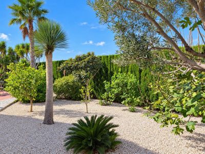VILLA INDIGO | Exclusivité AyO Inmobiliaria