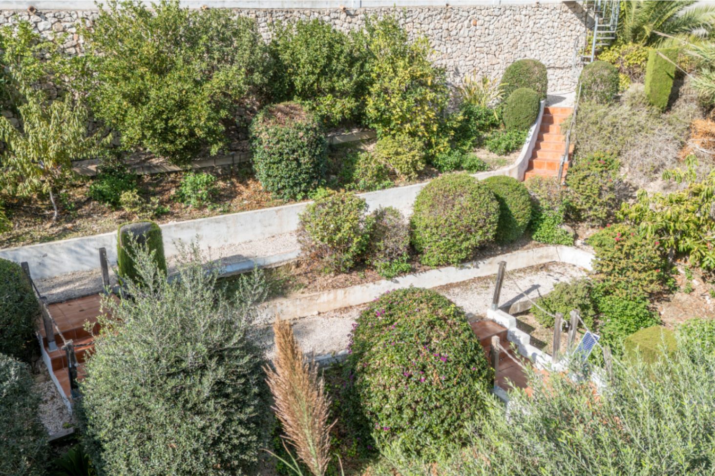 Jardin en terrasses