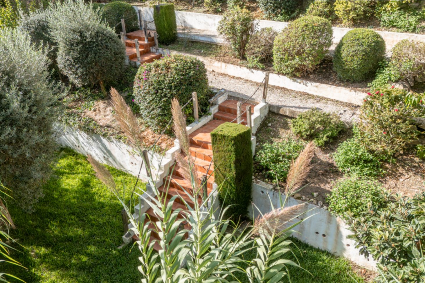 Escaliers du jardin