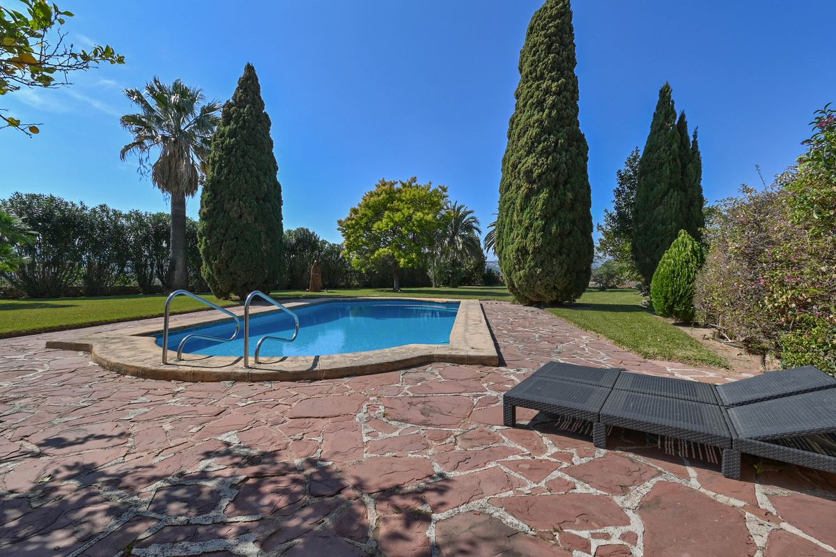 Piscine extérieure avec terrasse en pierre irrégulière, bordée de grands cyprès et d'une pelouse entretenue avec des bains de soleil.