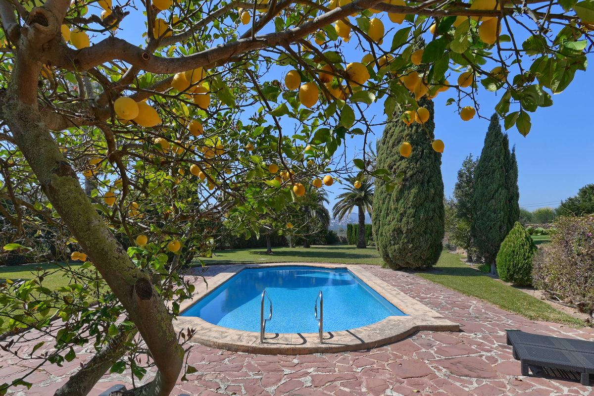 Piscine privée entourée d'une terrasse en pierre naturelle et d'une pelouse, encadrée par un citronnier et des cyprès méditerranéens matures.