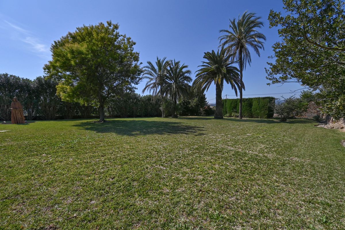 Vaste jardin paysager avec pelouse entretenue, palmiers matures et haies d'intimité, offrant un espace extérieur calme et verdoyant.
