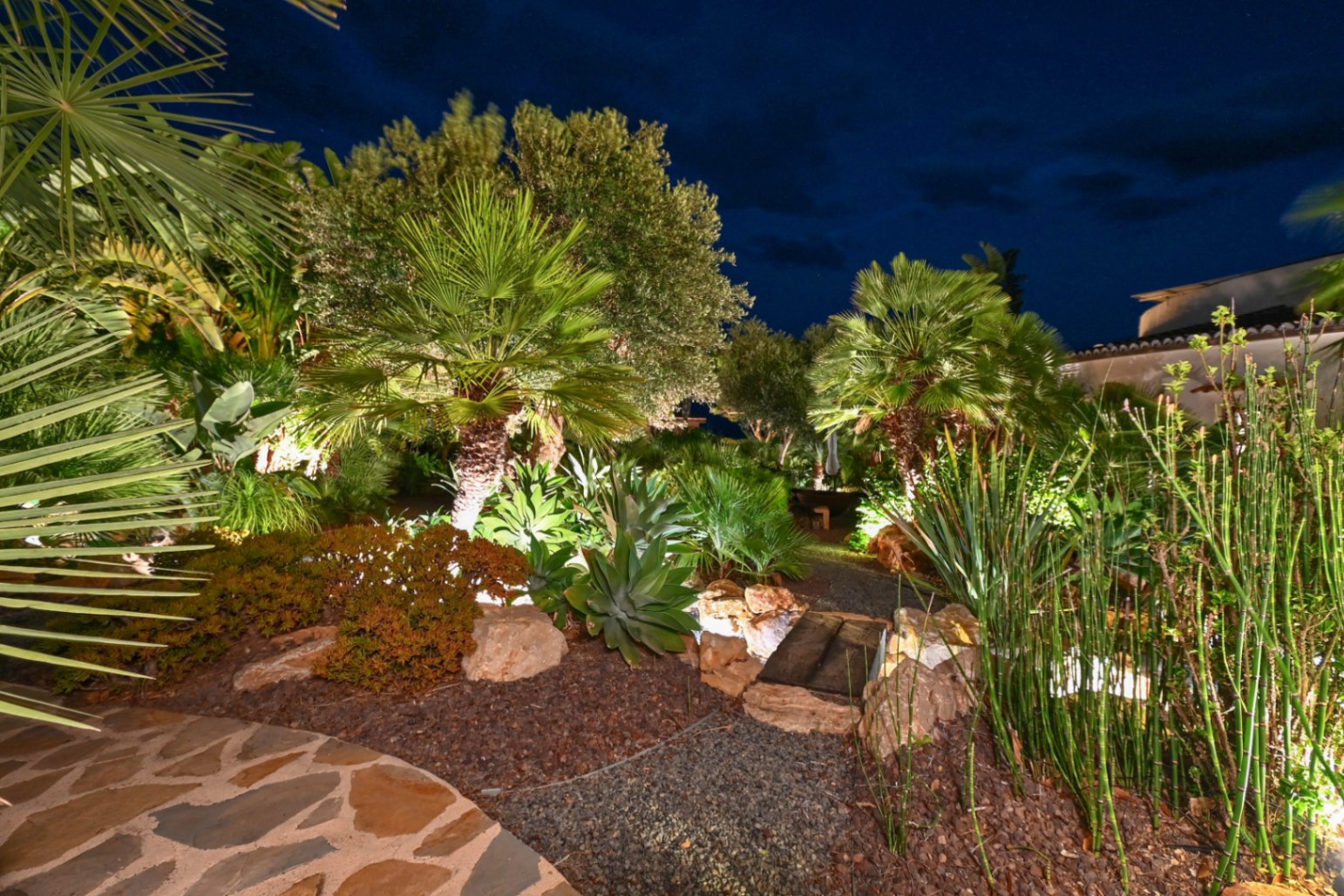 Jardin méditerranéen illuminé de nuit avec palmiers, agaves et un sentier de gravier agrémenté d'un petit pont en bois et de roches décoratives.