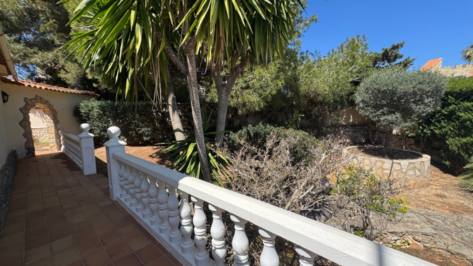 Terrasse en terre cuite avec balustrade blanche classique, offrant une vue sur un jardin méditerranéen arboré de palmiers et d'un olivier maçonné.