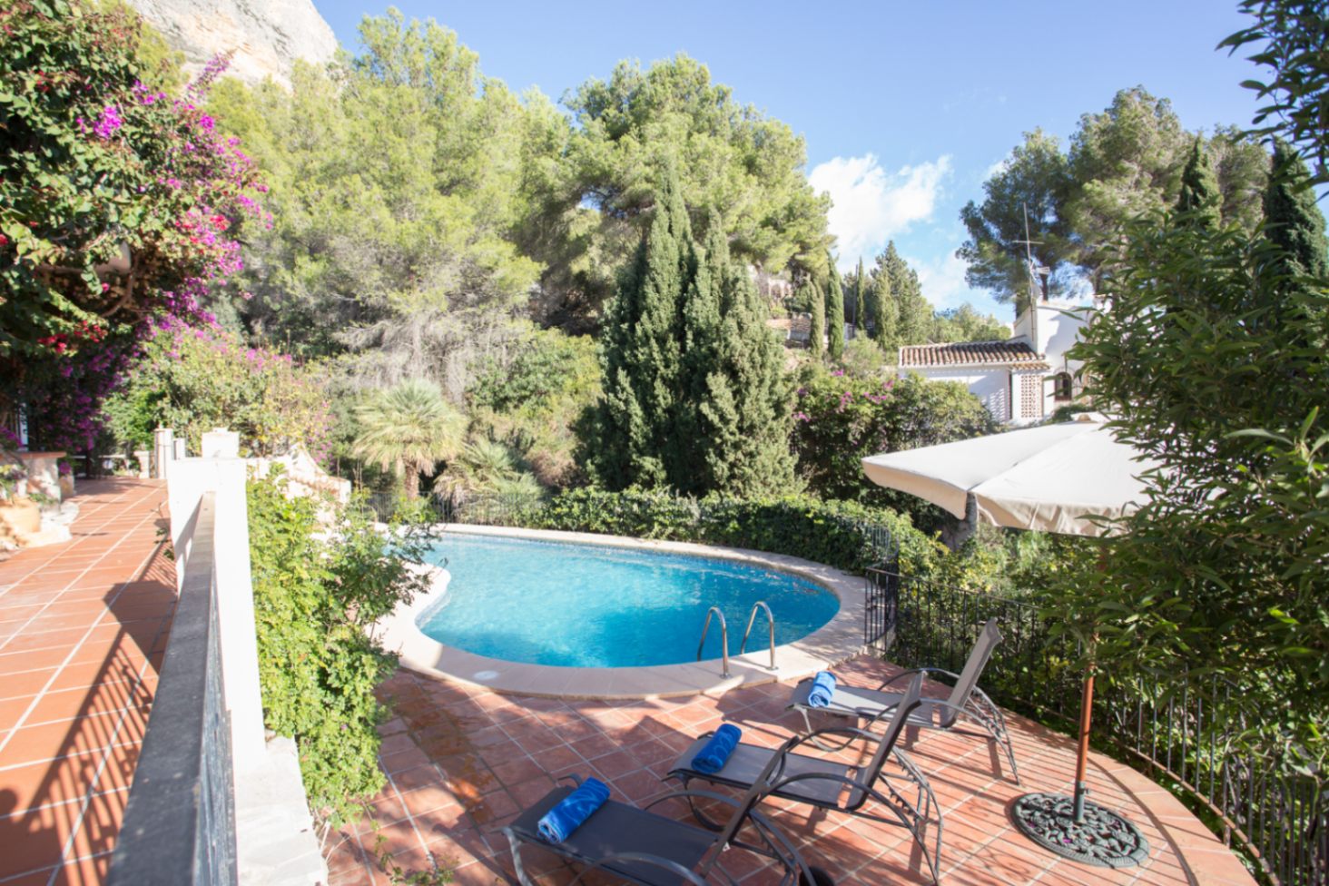 Piscine de forme libre sur une terrasse en terre cuite avec transats, nichée au cœur d'une pinède et d'une végétation méditerranéenne.